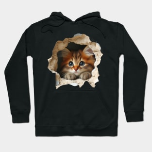 Irresistible cat emerging from a wall opening Hoodie